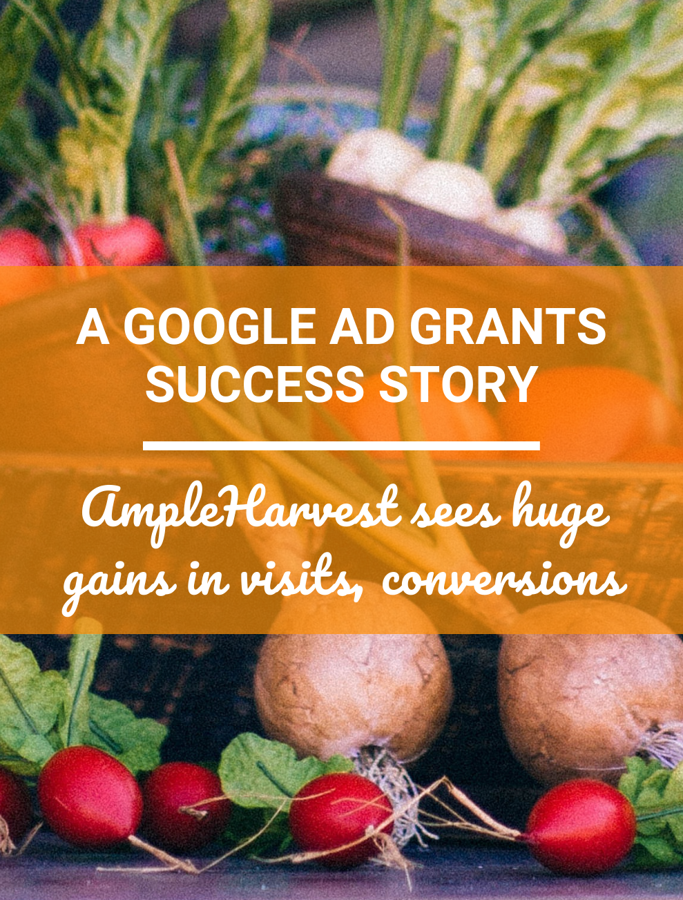 Google Ad Grants success story